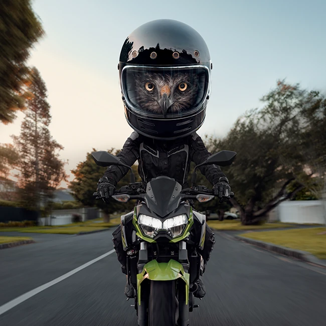 Auckland Transport - See Everything