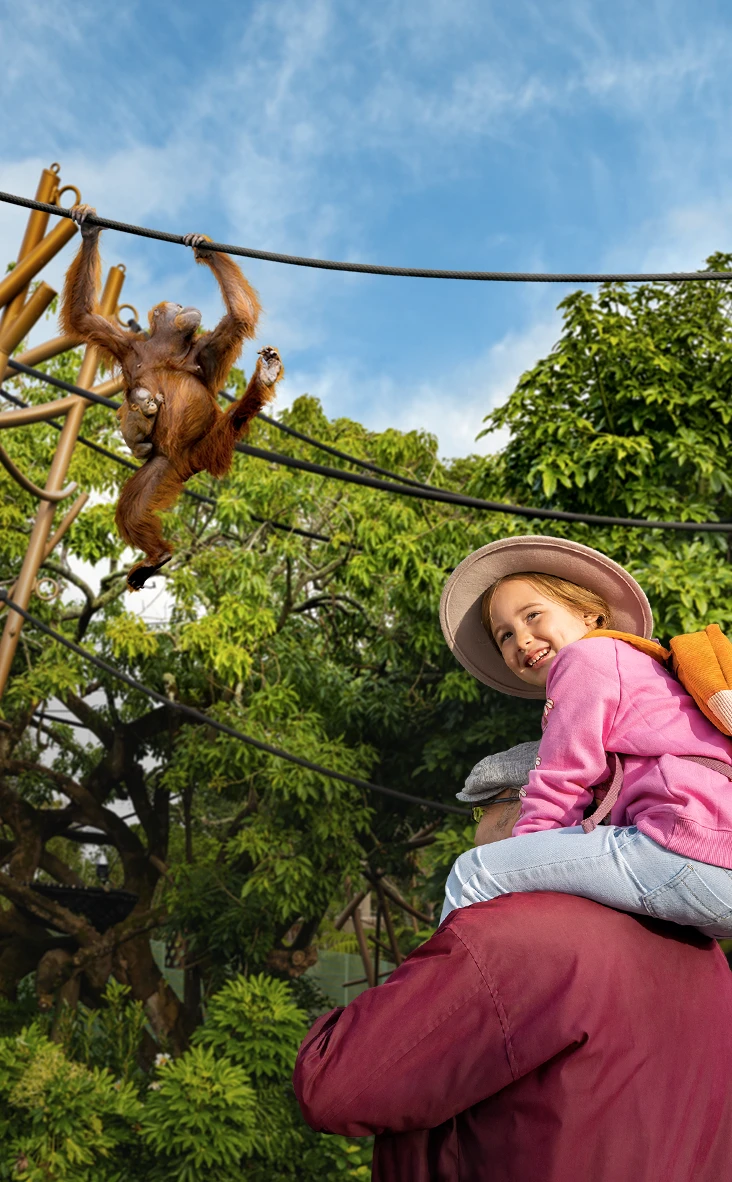 Whānau - Auckland Council